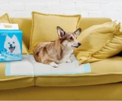 Nobleza 48LXB - Puppy Training Pads - 60 X 90 Cm - Zindelijkheidstraining - 100 Stuks -Hondenproducten 1200x997 3