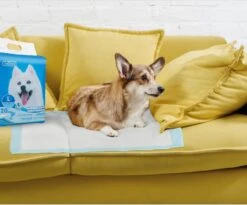 Nobleza 48LXE - Puppy Training Pads - 60 X 90 Cm - Zindelijkheidstraining - 120 Stuks -Hondenproducten 1200x997 4