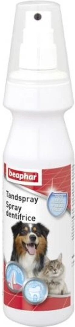 Beaphar Tandspray 150 Ml -Hondenproducten 278x1200 1