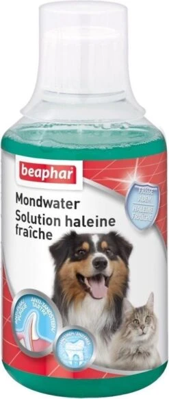 Beaphar Mondwater - 250 Ml -Hondenproducten 509x1200 3