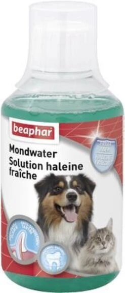 Beaphar Mondwater - 250 Ml -Hondenproducten 515x1200