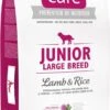 Brit Care Hypo-allergeen Junior - Large Breed Lam En Rijst -12kg -Hondenproducten 535x1200
