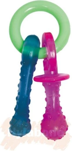 Nylabone Puppy Teething Pacifier Flexible - Hondenspeelgoed - Bacon 215x100x38 Mm 108 G Roze Blauw Groen Tot 11kg Small -Hondenproducten 573x1200 6