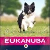 Eukanuba Dog Mature & Senior - Alle Rassen - Lam & Rijst - Droogvoer - 12 Kg -Hondenproducten 619x1200 1