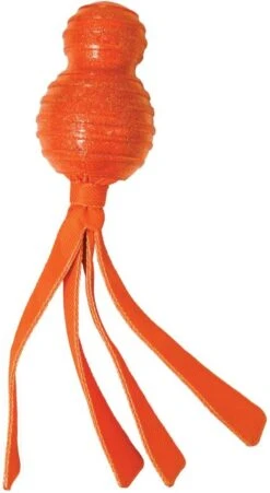 Kong Wubba Comet - Hondenspeelgoed - Assorti - M -Hondenproducten 657x1200 2