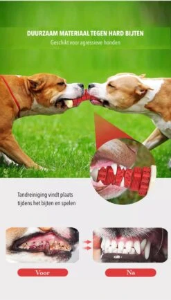 3-in-1 Hondenkauwbot - Gebitsverzorging - IQ Training - Voedsel Afgifte Functie - Geometrisch Ontwerp - Duurzaam & Milieuvriendelijk - Kauwbot - Honden - Hondenbot - Rood 13 3-in-1 Hondenkauwbot - Gebitsverzorging - IQ Training - Voedsel Afgifte Functie - Geometrisch Ontwerp - Duurzaam & Milieuvriendelijk - Kauwbot - Honden - Hondenbot - Rood -Hondenproducten 684x1200