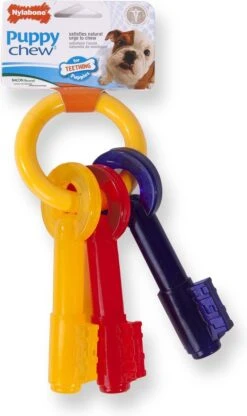 Nylabone Puppy Teething Key Flexible Geel&Blauw&Rood - Hondenspeelgoed - Wolf Tot 16kg -Hondenproducten 713x1200 3