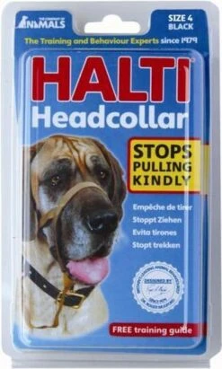 Halti Headcollar - Maat 2 18 Halti Headcollar - Maat 2 -Hondenproducten 721x1200 2