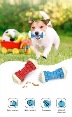 3-in-1 Hondenkauwbot - Gebitsverzorging - IQ Training - Voedsel Afgifte Functie - Geometrisch Ontwerp - Duurzaam & Milieuvriendelijk - Kauwbot - Honden - Hondenbot - Rood 15 3-in-1 Hondenkauwbot - Gebitsverzorging - IQ Training - Voedsel Afgifte Functie - Geometrisch Ontwerp - Duurzaam & Milieuvriendelijk - Kauwbot - Honden - Hondenbot - Rood -Hondenproducten 741x1200