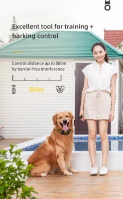 Anti Blafband EN Trainingshalsband In 1 - UNIEK SYSTEEM - 1000m Bereik - 100 Levels -Hondenproducten 745x1200