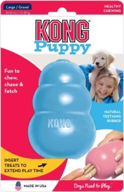 Kong Puppy - Hondenspeelgoed - Assorti - M -Hondenproducten 776x1200 3
