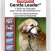 Beaphar Gentle Leader- Medium Maat Zwart | M 1 Beaphar Gentle Leader- Medium Maat Zwart | M -Hondenproducten 790x1200 4