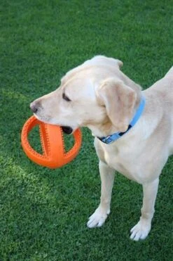 Happy Pet Grubber Voetbal - Apporteren - Ø 18 Cm -Hondenproducten 798x1200 3