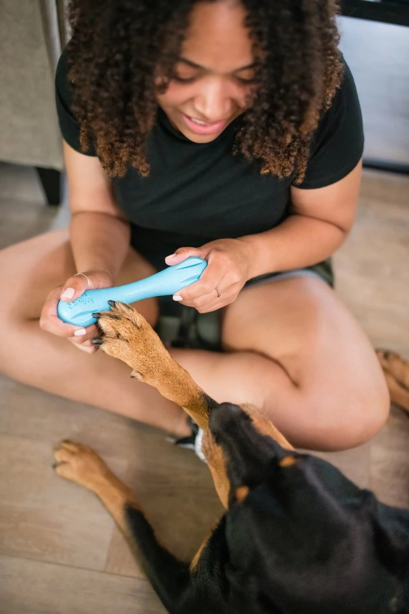 West Paw Zogoflex Hurley - Super Sterk Kauwbot Voor Honden - Kleur: Blauw, Maat: Large 7 West Paw Zogoflex Hurley - Super Sterk Kauwbot Voor Honden - Kleur: Blauw, Maat: Large - Afbeelding 5