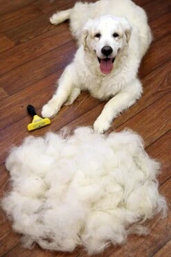 Furminator® Hond Langhaar - Vermindert Haaruitval Tot 90% - Hondenborstel - L -Hondenproducten 800x1200 8