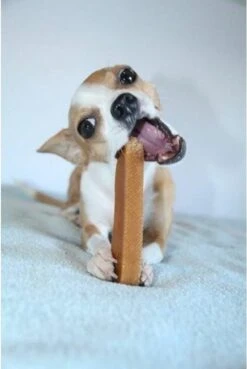 Coucour - Himalayan Cheese Bone 123gr XL - Yakmelk Kauwbot - Yakkaas Yak - Hondensnacks - Snack -Hondenproducten 804x1200 2