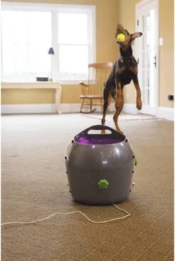 PetSafe Automatische Ballenwerper - Dierenspeelgoed -Hondenproducten 806x1200 1