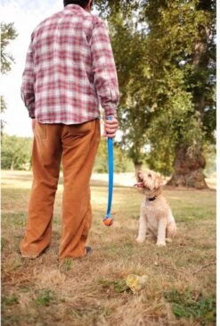 Chuckit! Chuckit Pro Ball - Werpstok - Apporteren- 25m Ver - 63 Cm -Hondenproducten 813x1200 3