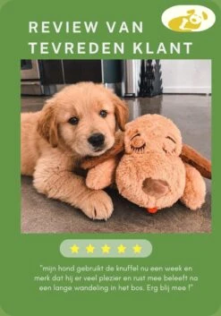 Woefie Hondenknuffel Met Hartslag - Puppyknuffel - Pluche- Puppy Speelgoed- Snuggle Puppy Xl- Knuffel Hond- Baby Knuffel- Knuffel Met Hartslag - Moederhond - Gratis E-Boek - Gratis Schroevendraaier 16 Woefie Hondenknuffel Met Hartslag - Puppyknuffel - Pluche- Puppy Speelgoed- Snuggle Puppy Xl- Knuffel Hond- Baby Knuffel- Knuffel Met Hartslag - Moederhond - Gratis E-Boek - Gratis Schroevendraaier -Hondenproducten 840x1200 6