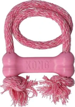 Kong Puppy Goodie Bone Small Small - 1 ST -Hondenproducten 842x1200 1