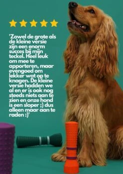 Furmey Zoomies - Honden Speelgoed - Hondenspeeltjes - Kauwbotten Hond - S Groen - 17 Cm -Hondenproducten 848x1200 5
