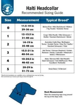 Halti Headcollar Nr. 3, Zwart. -Hondenproducten 853x1200