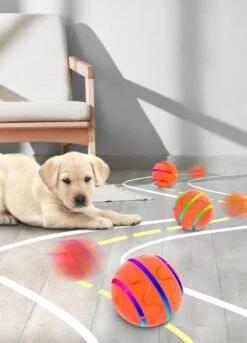 Good Experience Interactieve Hondenbal 3.0 – Honden Speelgoed Intelligentie – Puppy Speelgoed – Hondenspeeltjes – De Enige Die Werkt Met Afstandsbediening – De Veilige Bal Voor Jouw Hond – One Size – Oranje -Hondenproducten 863x1200 3
