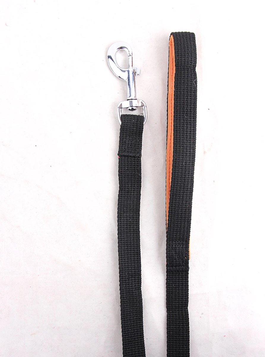 Pawise Lange Trainingslijn – Hondenriem Tot 5m – Brede Band Met Grip – Ideaal Voor Hondentraining – Uitlaatriem Van Hoge Kwaliteit Katoen 4 Pawise Lange Trainingslijn – Hondenriem Tot 5m – Brede Band Met Grip – Ideaal Voor Hondentraining – Uitlaatriem Van Hoge Kwaliteit Katoen - Afbeelding 2