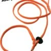 Abany Quality Design 1.80 Mtr Oranje - Jachtlijn - Dubbele Stop - Retrieverlijn - Gentle Leader - Lijn Leiband Met Halsband - Sliplijn Met Stop – Half Slip - Puppylijn - Vanglijn - Mantrailing - - 1R19019 2 Abany Quality Design 1.80 Mtr Oranje - Jachtlijn - Dubbele Stop - Retrieverlijn - Gentle Leader - Lijn Leiband Met Halsband - Sliplijn Met Stop – Half Slip - Puppylijn - Vanglijn - Mantrailing - - 1R19019 -Hondenproducten 895x1200