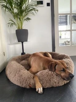 Happysnoots Hondenmand Met Rits - 80cm - Hondenbed - Donut Dog Bed - Fluffy - Grijs - Wasbaar -Hondenproducten 899x1200 21