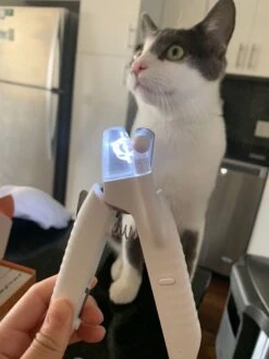 SunnyPets - Professionele Dieren Nagelknipper - Wit - Met LED En Vijl - Hond - Kat - Geschikt Voor Alle - Nageltang 13 SunnyPets - Professionele Dieren Nagelknipper - Wit - Met LED En Vijl - Hond - Kat - Geschikt Voor Alle - Nageltang -Hondenproducten 899x1200 6