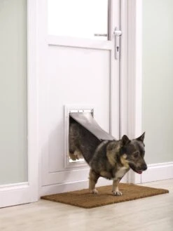 Petsafe 660 Hondenluik - Tot 100 Kg - Aluminium -Hondenproducten 900x1200 25