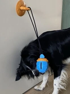 Merkloos Speelbal -Hondenspeelgoed Interactief - Hondenspeeltjes - Kauwspeelgoed Hond - 45 Cm -Hondenproducten 900x1200 35