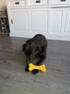 Nylabone Extreme Kauwbot Met Kaassmaak - Voor De Krachtigste Kauwers - Vulbaar Met Smeersels Zoals Pindakaas - XS/M/L - Large -Hondenproducten 900x1200 37