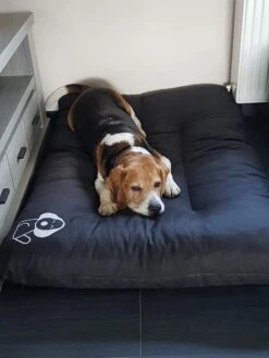 Hondenkussen XL - Donkergrijs - 60 X 90 X 12 -Hondenproducten 900x1200 44