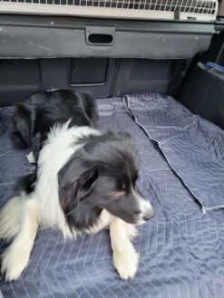 Luxe Hondendeken 200 X 150 Cm Auto Achterbank Kofferbak Vuilafstotend & Beschermend -Hondenproducten 900x1200 46