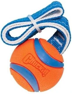 Chuckit! Chuckit Ultra Tug – Hondenspeelgoed - Blauw/Oranje – Large - ø 7 Cm -Hondenproducten 914x1200 6