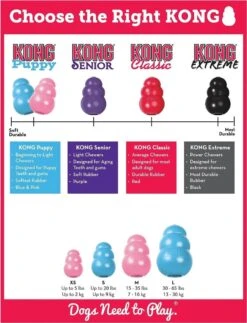 Kong Puppy - Hondenspeelgoed - Assorti - M -Hondenproducten 917x1200 2