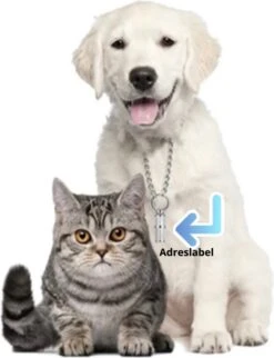 Merkloos Zelfverwarmende Dierendeken Zonder Stroom Thermo Deken Hond Kat Inclusief Adreslabel 70 X 47 Cm -Hondenproducten 920x1200 2