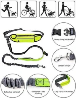 Hondenriem Hardloopriem Elastische Reflecterende Geschikt Voor Hardlopen - Handsfree Riem Met Opbergtasje – Hond Looplijn - Schokabsorberend - Groen -Hondenproducten 927x1200