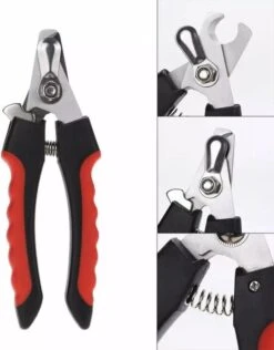 Nagelschaar Voor Dieren- Nagelknipper- Kat- Hond- Vogel Nagelschaartje - Huisdieren - Nail Clipper- Nail Cutter -Hondenproducten 938x1200 1