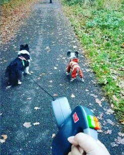 Wigzi Dual Doggie 2.0 Voor Twee Honden - Hondenriem - Grijs - 3m - <22 Kg (per Hond) -Hondenproducten 960x1200 1