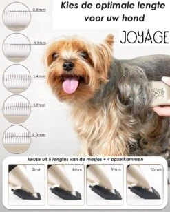 Joyage Professionele Hondentondeuse Voor Dikke Vacht – Honden Tondeuse & Hondentrimmer Tondeuse – Stille Tondeuse Katten & Honden Trimset Lang Haar – Trimmer Hond - Hondentondeuse Draadloos - Tondeuse Voor Honden - Tondeuse Hond Dikke Vacht 11 Joyage Professionele Hondentondeuse Voor Dikke Vacht – Honden Tondeuse & Hondentrimmer Tondeuse – Stille Tondeuse Katten & Honden Trimset Lang Haar – Trimmer Hond - Hondentondeuse Draadloos - Tondeuse Voor Honden - Tondeuse Hond Dikke Vacht -Hondenproducten 962x1200 2