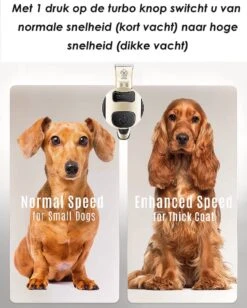 Joyage Professionele Hondentondeuse Voor Dikke Vacht – Honden Tondeuse & Hondentrimmer Tondeuse – Stille Tondeuse Katten & Honden Trimset Lang Haar – Trimmer Hond - Hondentondeuse Draadloos - Tondeuse Voor Honden - Tondeuse Hond Dikke Vacht 12 Joyage Professionele Hondentondeuse Voor Dikke Vacht – Honden Tondeuse & Hondentrimmer Tondeuse – Stille Tondeuse Katten & Honden Trimset Lang Haar – Trimmer Hond - Hondentondeuse Draadloos - Tondeuse Voor Honden - Tondeuse Hond Dikke Vacht -Hondenproducten 962x1200 3