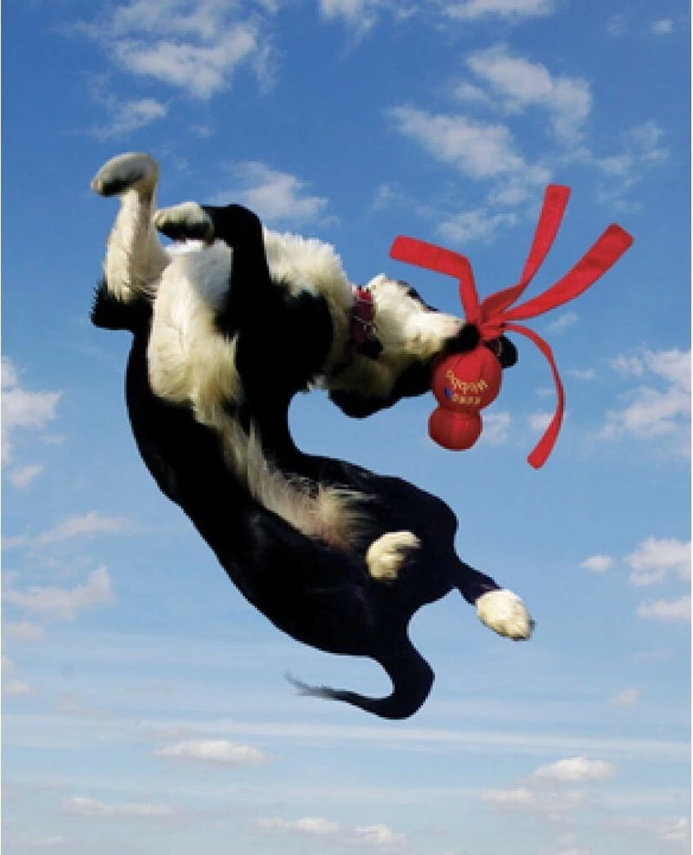 Kong Wubba XL - Piepend Speelgoed - Multi - Hondenspeelgoed - 273 X 151 X 83 Mm 5 Kong Wubba XL - Piepend Speelgoed - Multi - Hondenspeelgoed - 273 X 151 X 83 Mm - Afbeelding 3