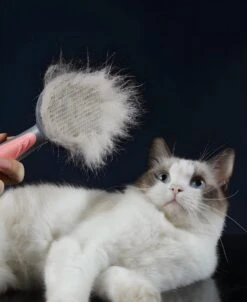 Pakeway T9 - Kattenborstel - Zelfreinigende Kattenkam - Groen - Massageborstel - 19,3 Cm 22 Pakeway T9 - Kattenborstel - Zelfreinigende Kattenkam - Groen - Massageborstel - 19,3 Cm -Hondenproducten 983x1200